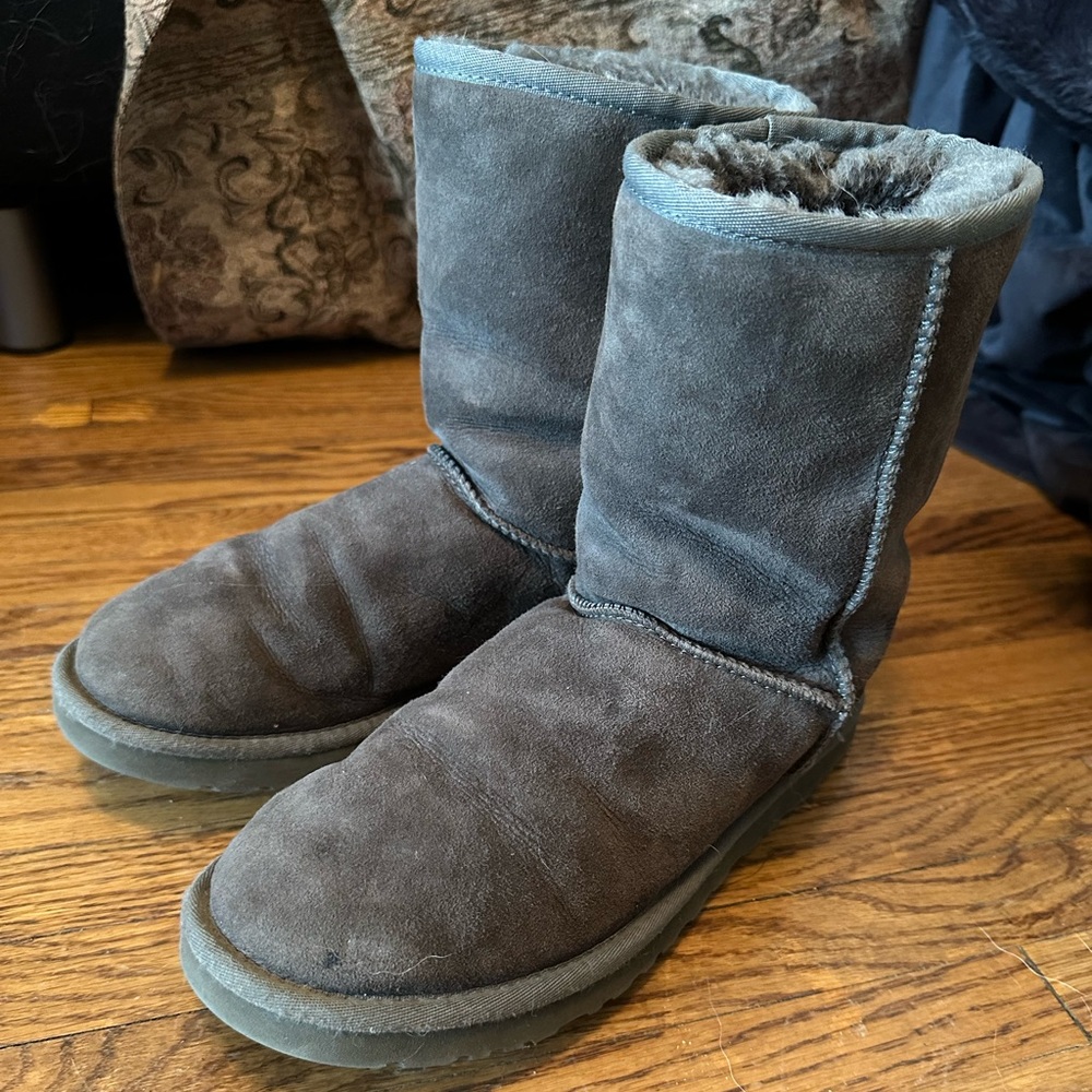 Gray Classic Ugg Boots - image 1